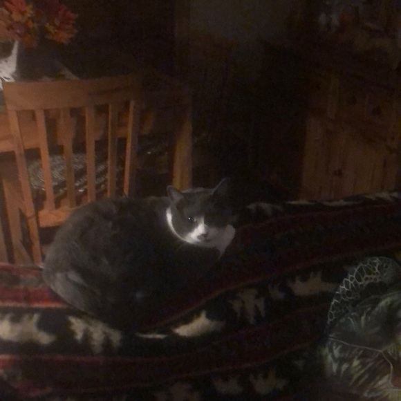 Meet your Posher, Donald - Picture 1 of 1